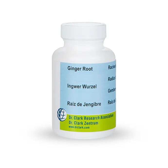 Ingwer-Wurzel, 500 mg 100 Kapseln