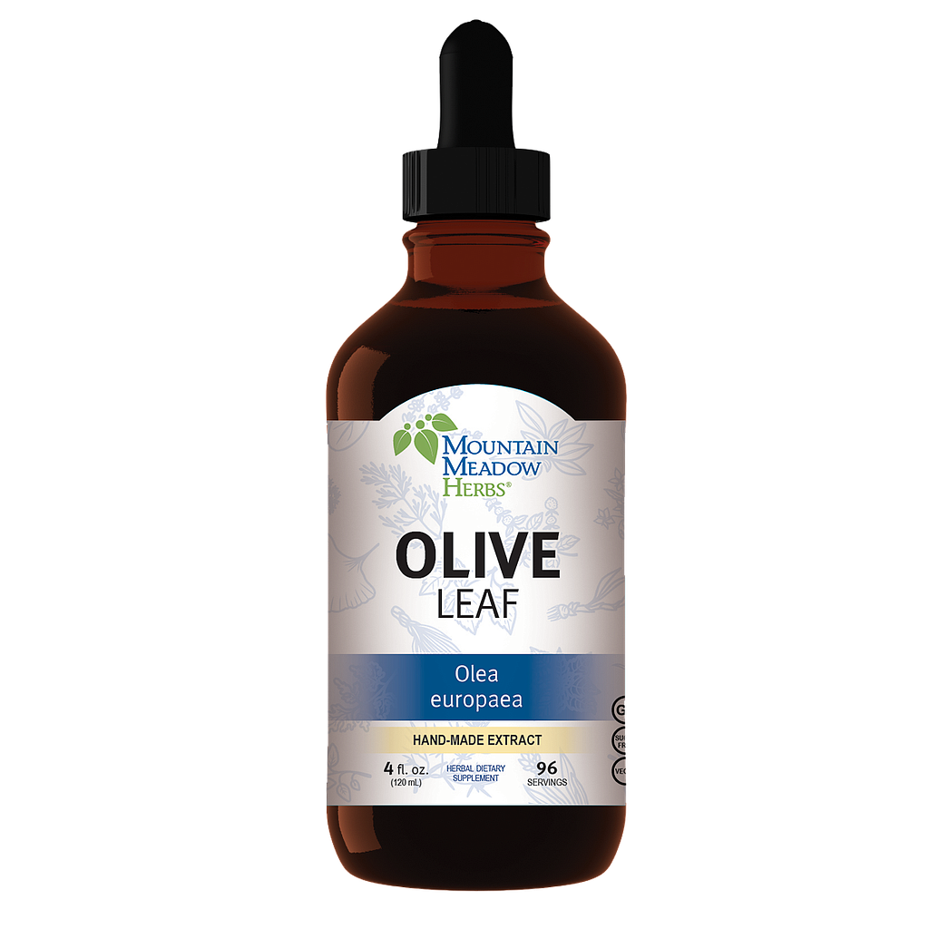 Tintura di estratto di foglie di olivo, 120 ml