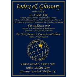 [INDEX] Index & Glossary de David P. Amrein (anglais)